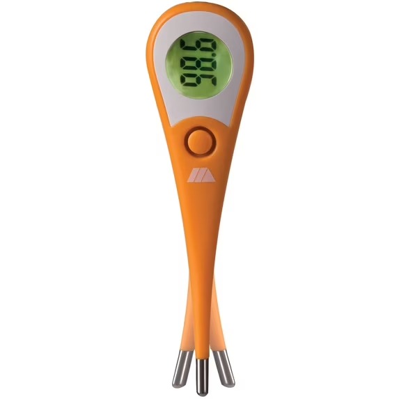 Flexible digital thermometer